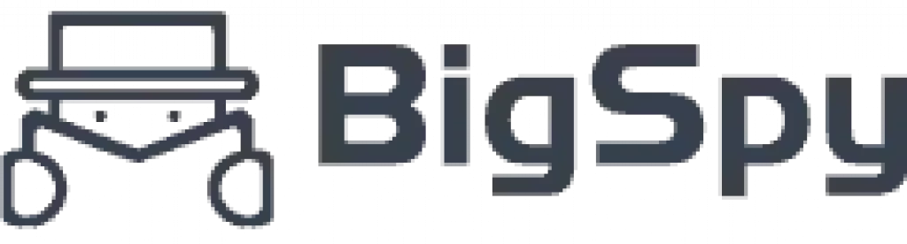 BigSpy Review